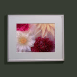 Four frozen dahlias ✿ Fine Art Print