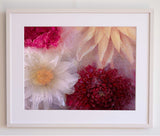 Four frozen dahlias ✿ Fine Art Print