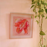 Parrot Tulip: A Study in Petals ✿ Fine Art Print