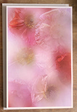 Frozen Icelandic Poppies in the mist ✿ Fine Art Print