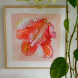 Parrot Tulip: A Study in Petals ✿ Fine Art Print