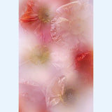 Frozen Icelandic Poppies in the mist ✿ Fine Art Print