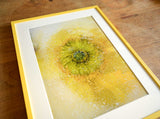 Yellow Eye ✿ Fine Art Print
